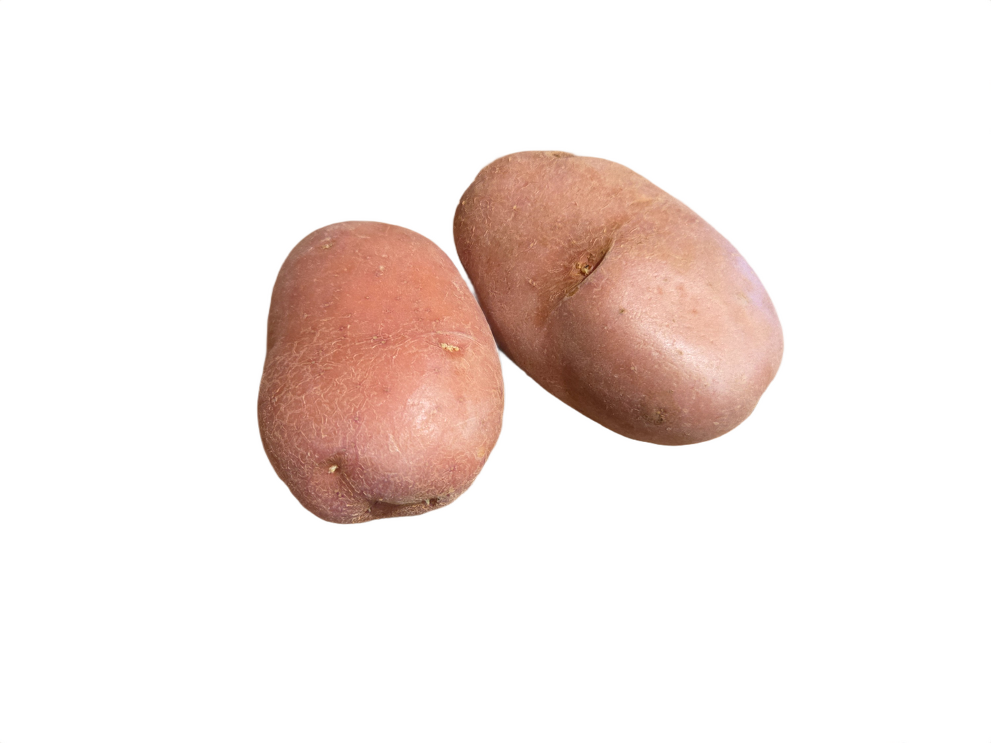 Desiree Red Potatoes