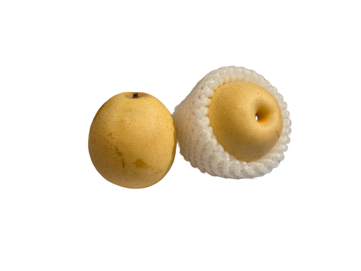 Chinese Nashi Pear