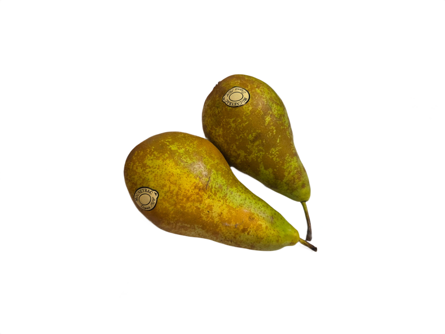 French Conference Pear