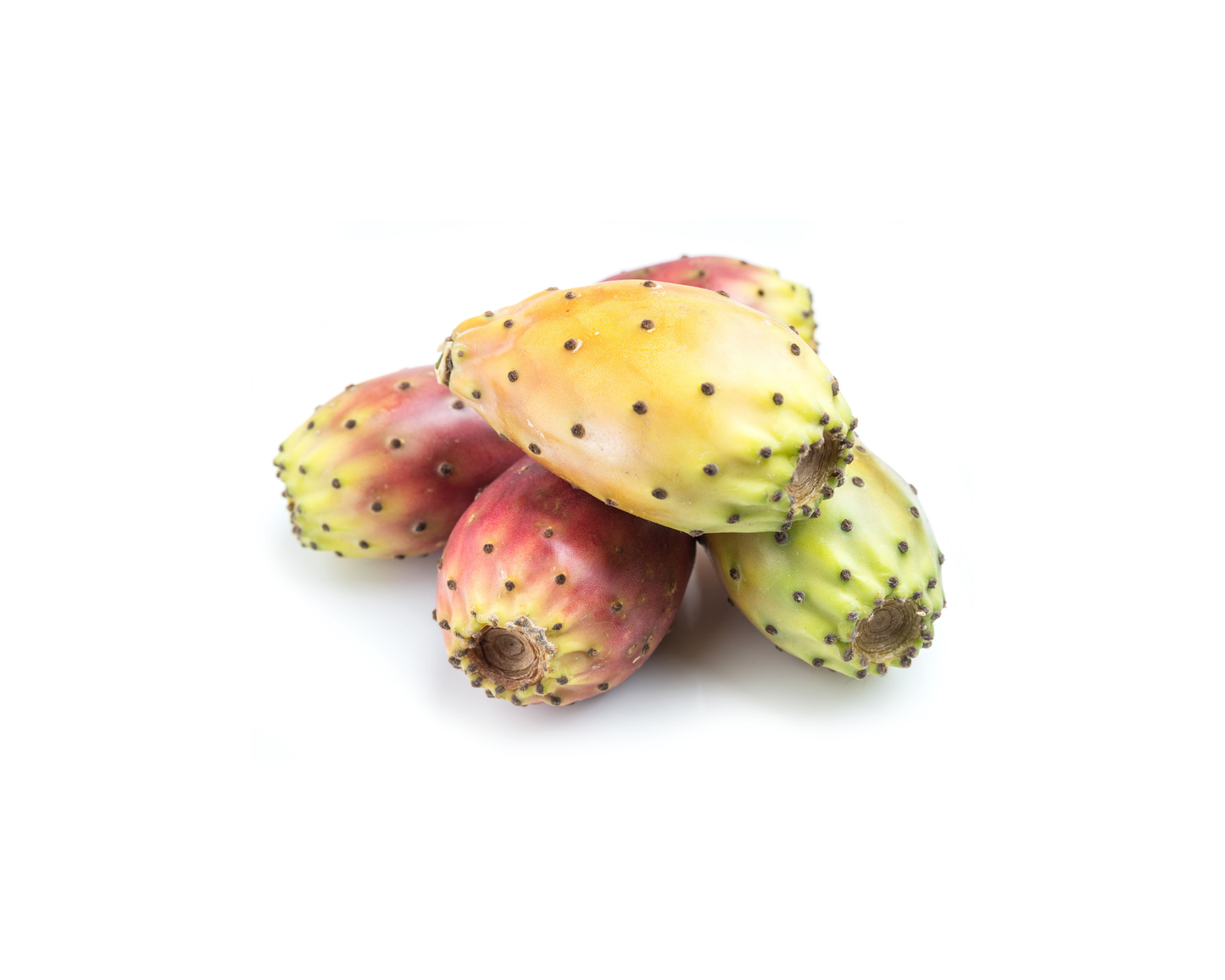 Prickly Pear (Cactus Fruit)