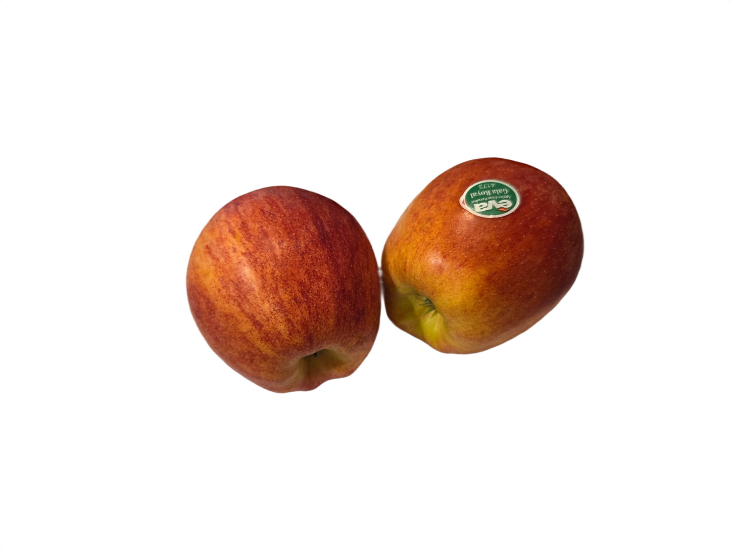Royal Gala Apple