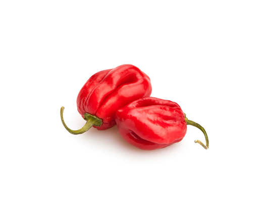 Scotch Bonnet Chilli Peppers