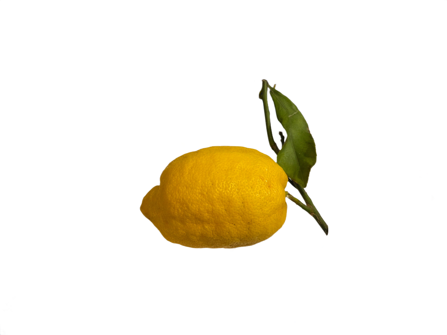 Unwaxed Lemon